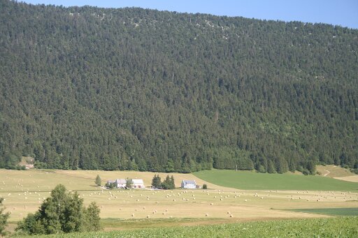 Autrans Valey and the forest up to the  Pass (Photo-Lise) (libre droit) (6)