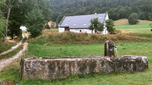 Stone Water Trough+ Field