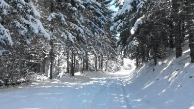 The route under snow