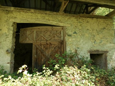 Abandoned barn in the forest