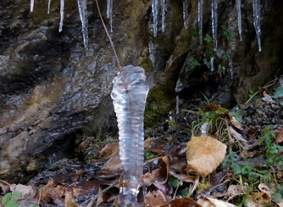 An odd Icicle 