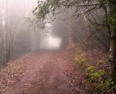 My favorite running track