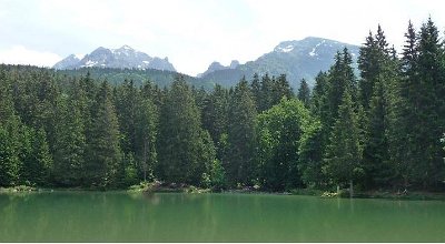 The lake in spring