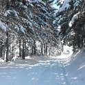 The route under snow