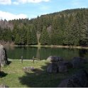 The Lake and Revel forest in summer