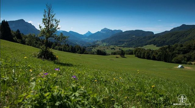 The Charteuse- Mon Joigny - Bruno LAVIT